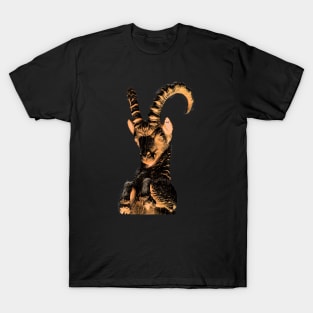 Capricorn Statue T-Shirt